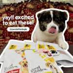 Good Nibbles - All Natural Pet Biscuit - Image 9